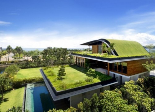 Stunning Roof Top Garden